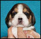 Boy 5 Wk 3